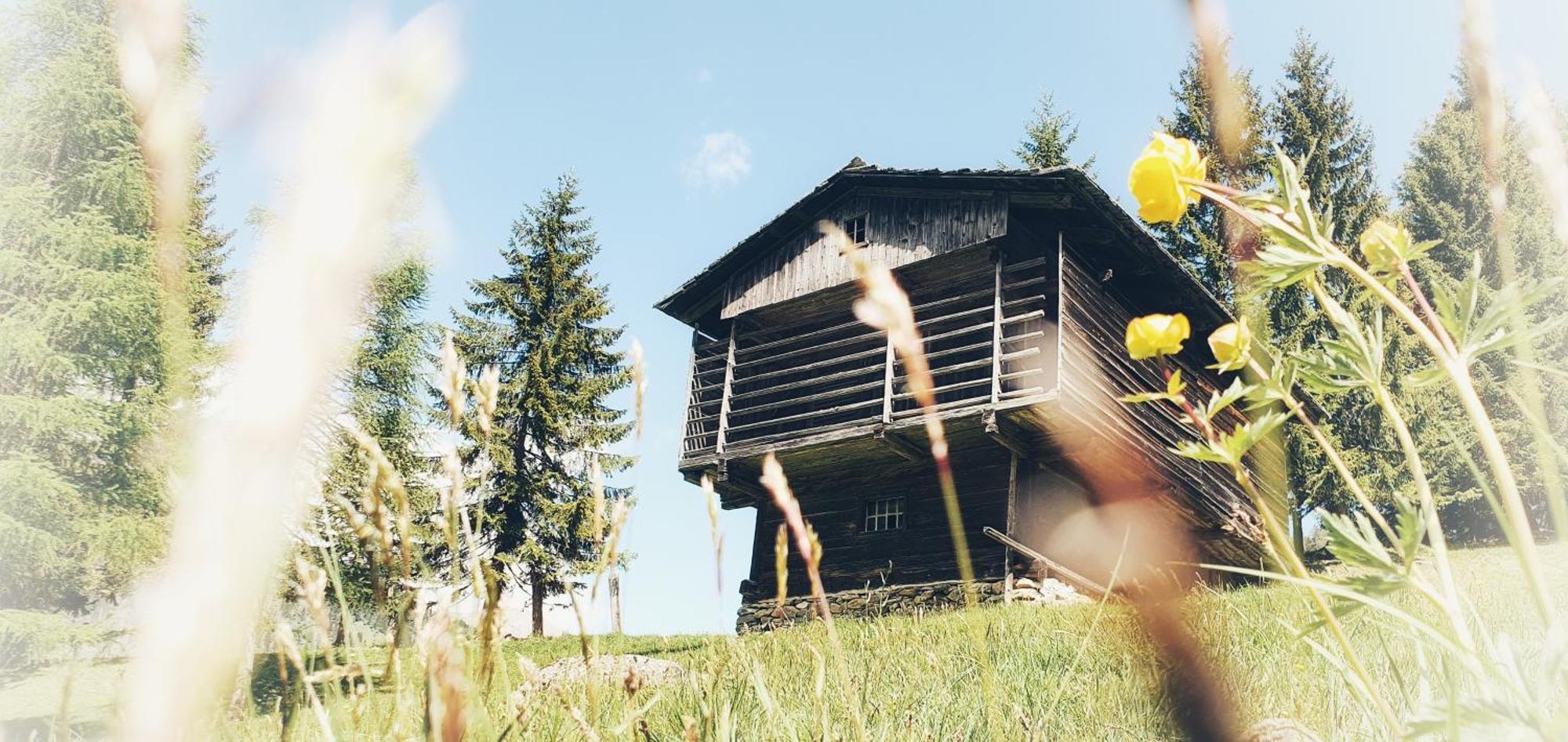 Unser Kleines Bauernhaus Maria Luggau Bagian luar foto